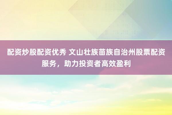 配资炒股配资优秀 文山壮族苗族自治州股票配资服务，助力投资者高效盈利