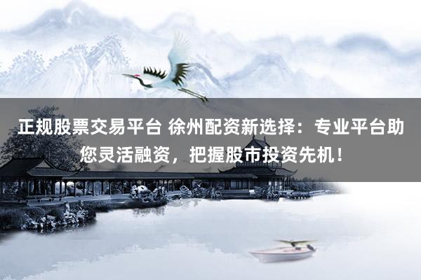 正规股票交易平台 徐州配资新选择：专业平台助您灵活融资，把握股市投资先机！