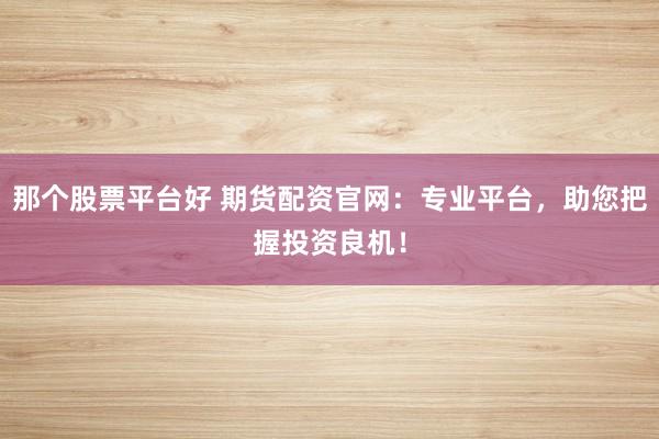 那个股票平台好 期货配资官网：专业平台，助您把握投资良机！