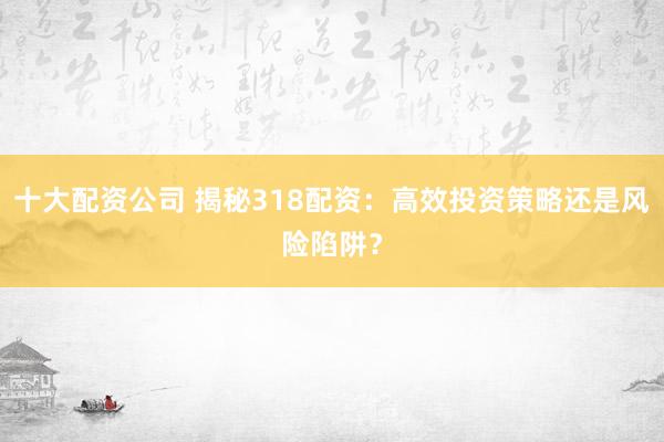 十大配资公司 揭秘318配资：高效投资策略还是风险陷阱？