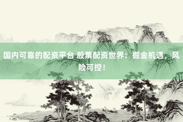 国内可靠的配资平台 股票配资世界：掘金机遇，风险可控！