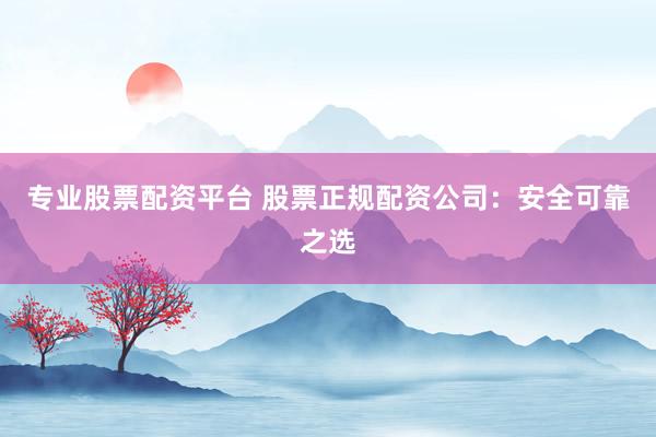 专业股票配资平台 股票正规配资公司：安全可靠之选