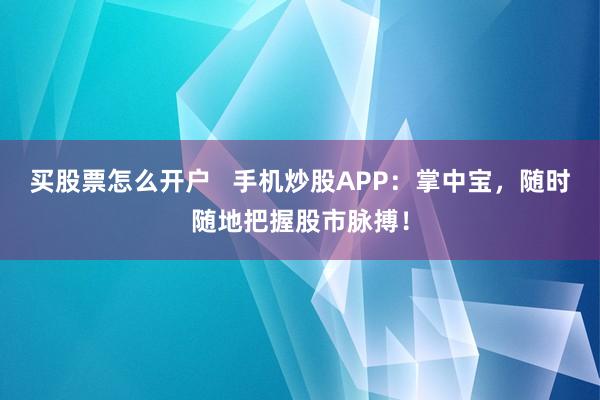买股票怎么开户 手机炒股APP:掌中宝,随时随地把握股市脉搏!