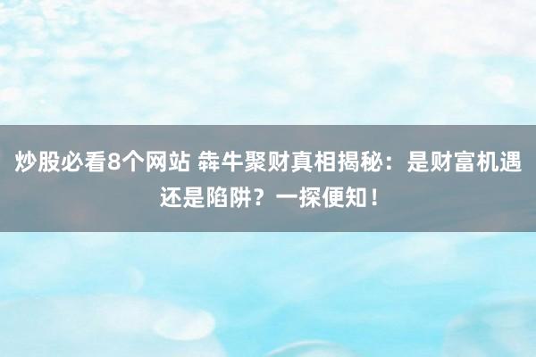 炒股必看8个网站 犇牛聚财真相揭秘：是财富机遇还是陷阱？一探便知！