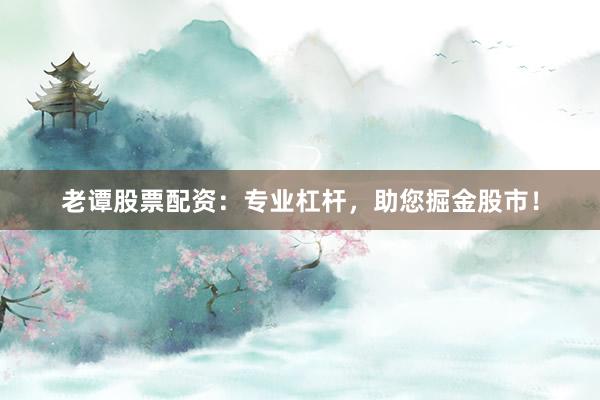 老谭股票配资：专业杠杆，助您掘金股市！