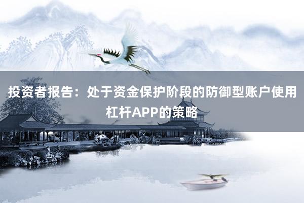 投资者报告：处于资金保护阶段的防御型账户使用杠杆APP的策略