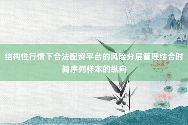 结构性行情下合法配资平台的风险分层管理结合时间序列样本的纵向