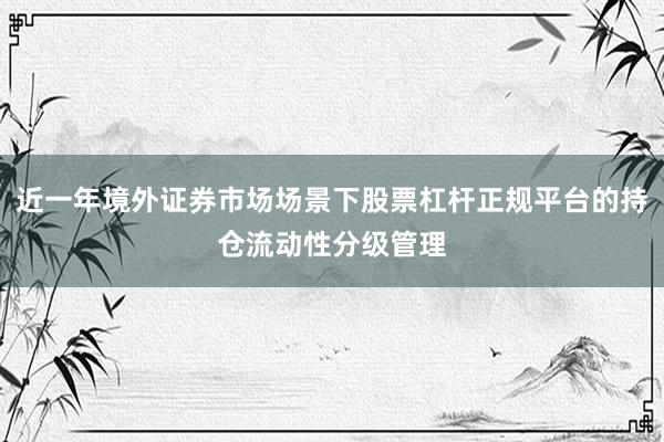 近一年境外证券市场场景下股票杠杆正规平台的持仓流动性分级管理