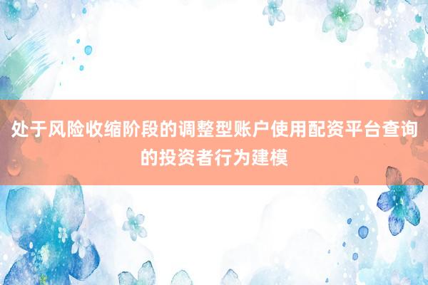 处于风险收缩阶段的调整型账户使用配资平台查询的投资者行为建模