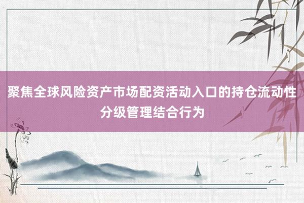 聚焦全球风险资产市场配资活动入口的持仓流动性分级管理结合行为