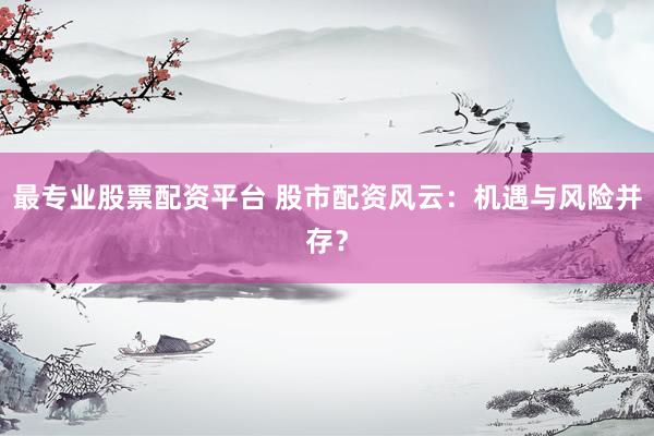 最专业股票配资平台 股市配资风云：机遇与风险并存？