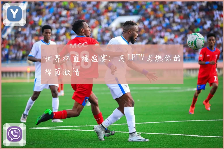 世界杯直播盛宴：用IPTV点燃你的绿茵激情