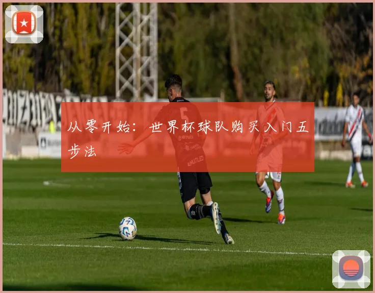 从零开始：世界杯球队购买入门五步法