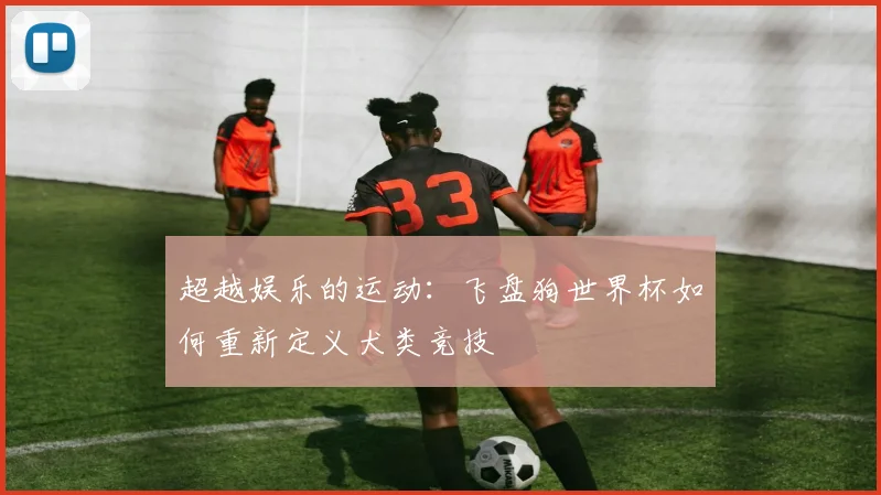 超越娱乐的运动：飞盘狗世界杯如何重新定义犬类竞技