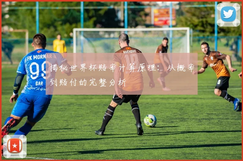 揭秘世界杯赔率计算原理：从概率到赔付的完整分析